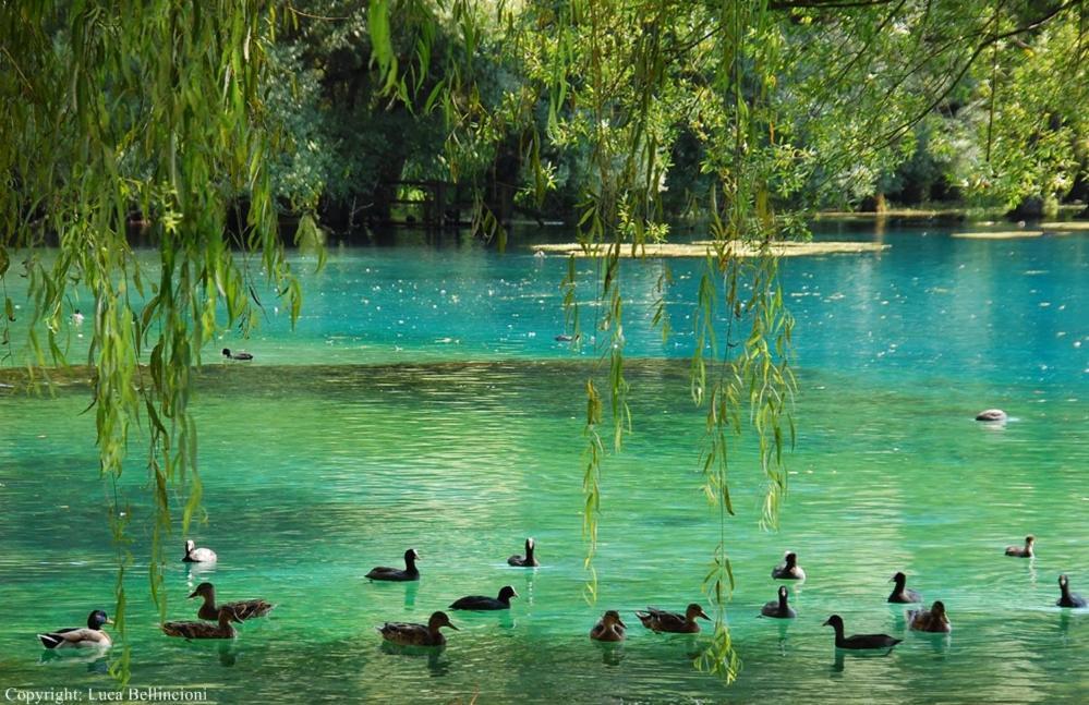 Casa Rosamari - Su Lago Di Posta Fibreno, Appartamento Con Camino Екстер'єр фото